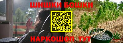 дживик Бийск