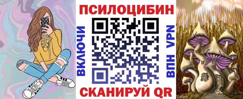 Псилоцибиновые грибы Cubensis  OMG рабочий сайт  Бердск 