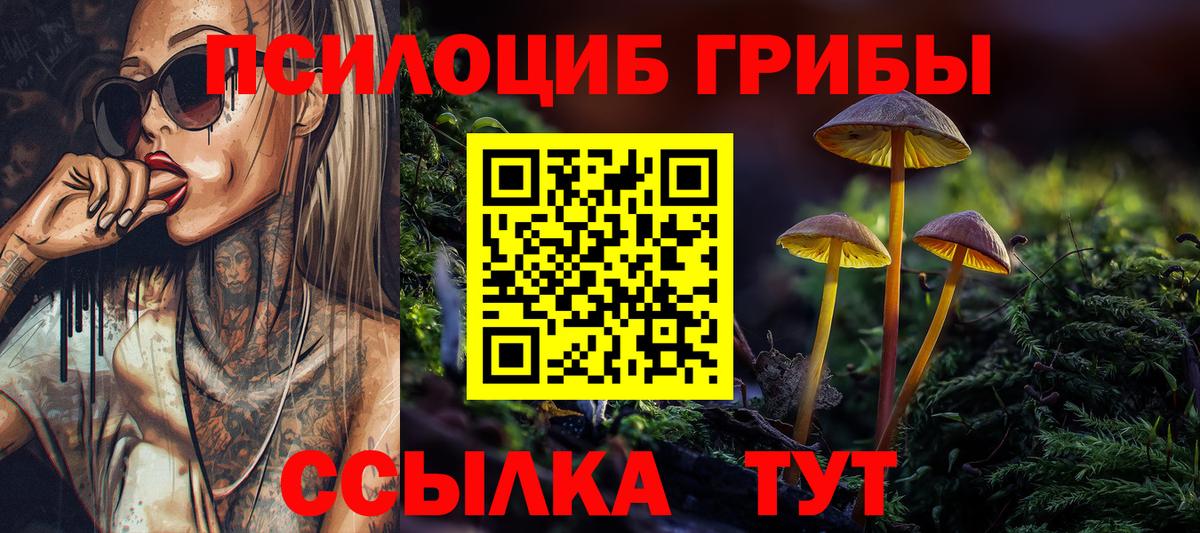 Бердск  Галлюциногенные грибы Psilocybe  Вход с VPN 