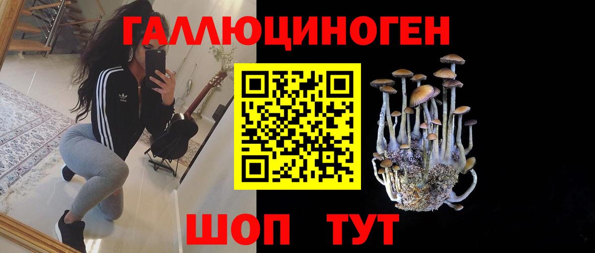 Псилоцибиновые грибы Psilocybine cubensis  Псилоцибиновые грибы ЛСД  Бердск 