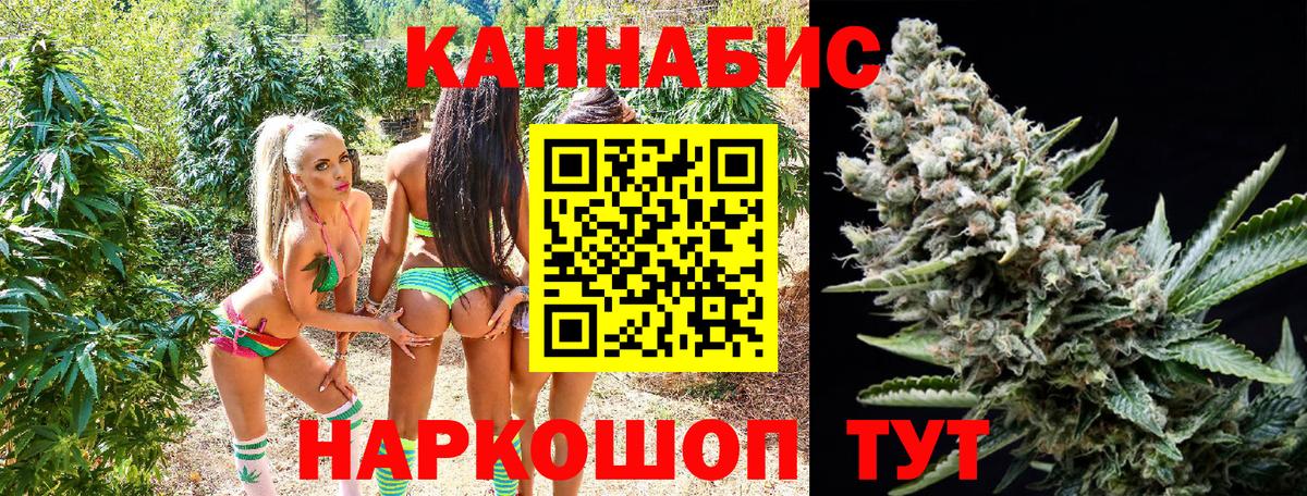 Канабис гибрид Бердск
